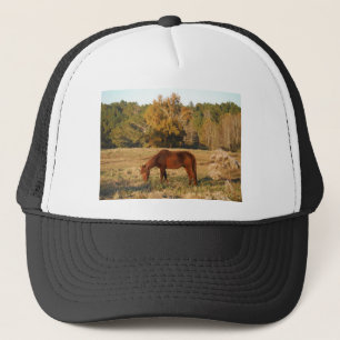 Brown horse in yellow tree field trucker hat