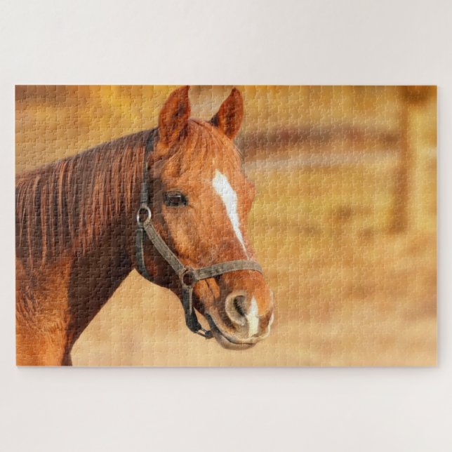 Brown horse jigsaw puzzle (Horizontal)