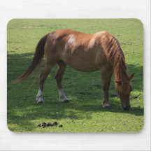 Brown horse mousepad