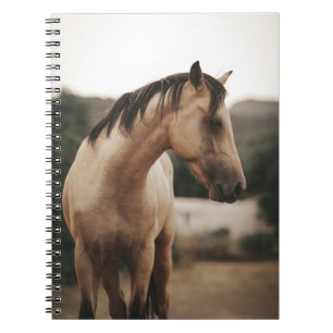 BROWN HORSE NOTEBOOK