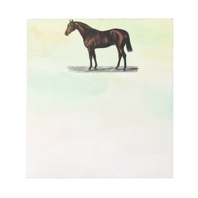 Brown Horse Notepad (Front)