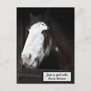 Brown Horse on Farm Just a Girl who Loves Horses Postcard