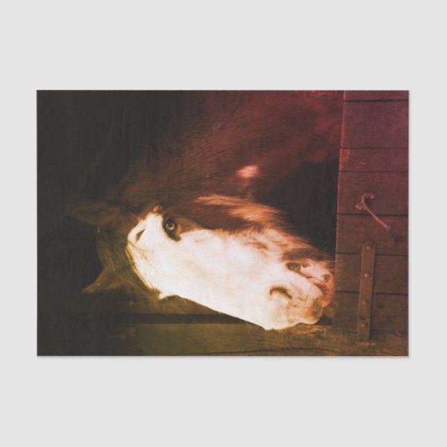 Brown Horse on Farm Just a Girl who Loves Horses Tissue Paper (Front)