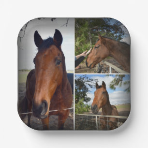 Brown Horse Photo Collage, Paper Plates