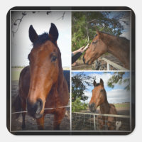 Brown Horse Photo Collage, Square Sticker