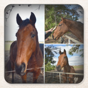 Brown Horse Photo Collage, Sturdy Paper Coasters