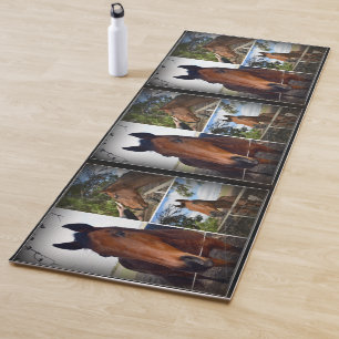 Brown Horse Photo Collage, Yoga Mat