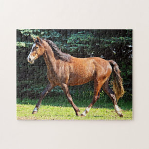 Brown Horse Running Jigsaw Puzzle