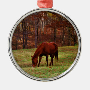 Brown Horse w/ White Nose at Woods Edge Metal Tree Decoration
