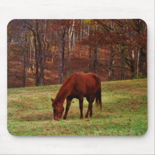Brown Horse w/ White Nose at Woods Edge Mouse Mat