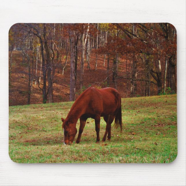 Brown Horse w/ White Nose at Woods Edge Mouse Mat (Front)