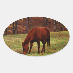 Brown Horse w/ White Nose at Woods Edge Oval Sticker