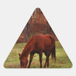 Brown Horse w/ White Nose at Woods Edge Triangle Sticker