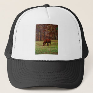 Brown Horse w/ White Nose at Woods Edge Trucker Hat