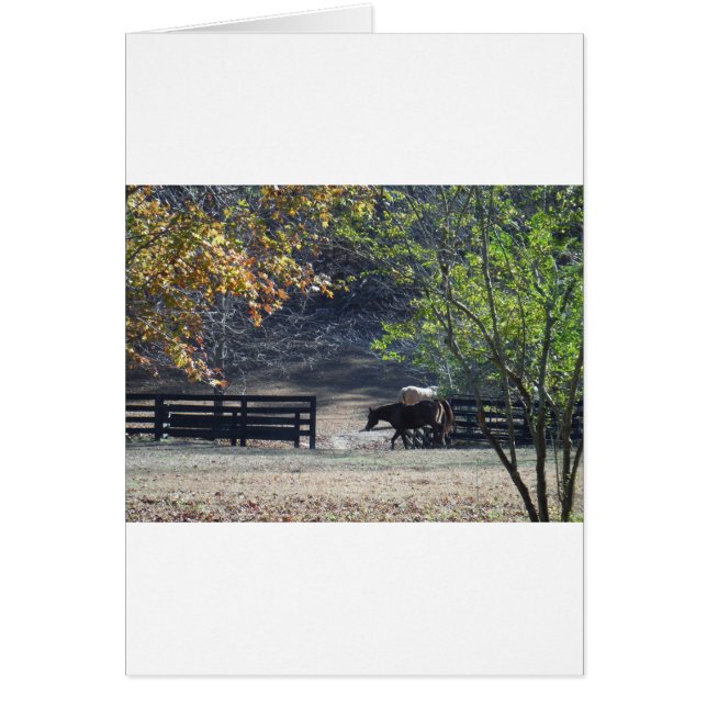 Brown Horse walking through Fence (Front)