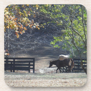 Brown Horse walking through Fence Coaster
