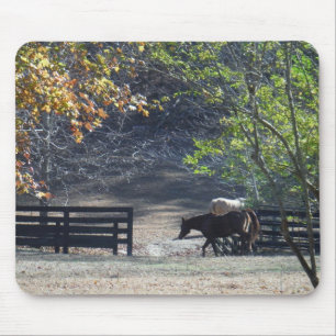 Brown Horse walking through Fence Mouse Mat