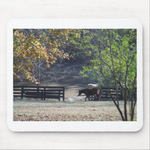 Brown Horse walking through Fence Mouse Mat