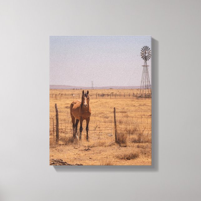 Brown Horse Windmill Pasture Sunset Art Canvas Print (Front)