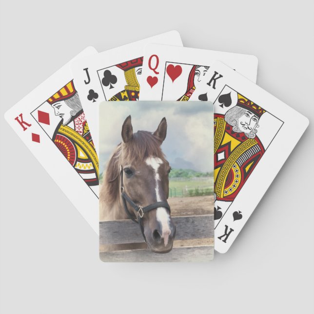 Brown Horse with Bridle Deck of Playing Cards (Back)