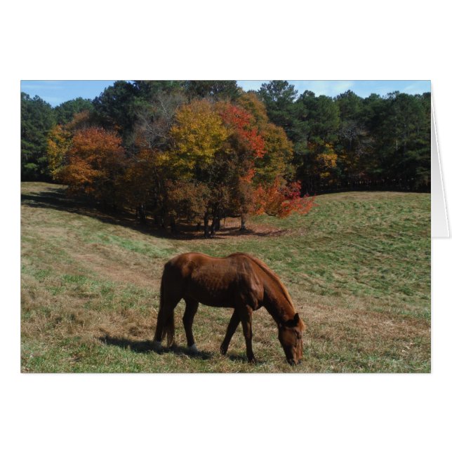 Brown horse with fall trees (Front Horizontal)