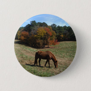 Brown horse with fall trees 6 cm round badge
