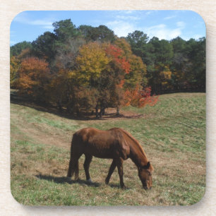 Brown horse with fall trees coaster