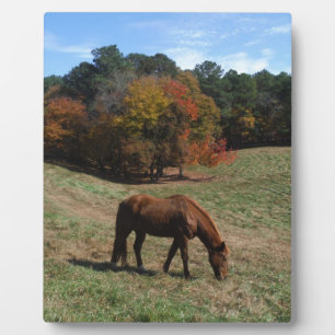 Brown horse with fall trees plaque