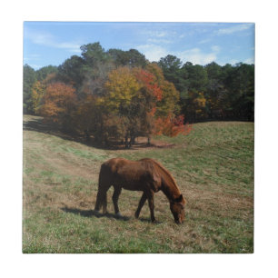 Brown horse with fall trees tile