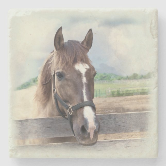 Brown Horse with Halter Stone Coaster (Front)