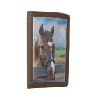 Brown Horse with Halter