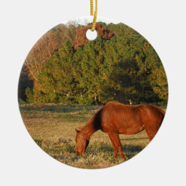 Brown Horse with Pine Trees Ceramic Tree Decoration (Front)