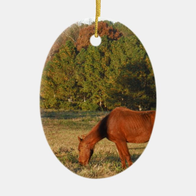 Brown Horse with Pine Trees Ceramic Tree Decoration (Front)
