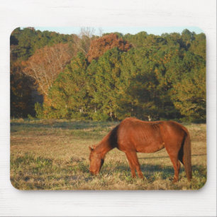 Brown Horse with Pine Trees Mouse Mat