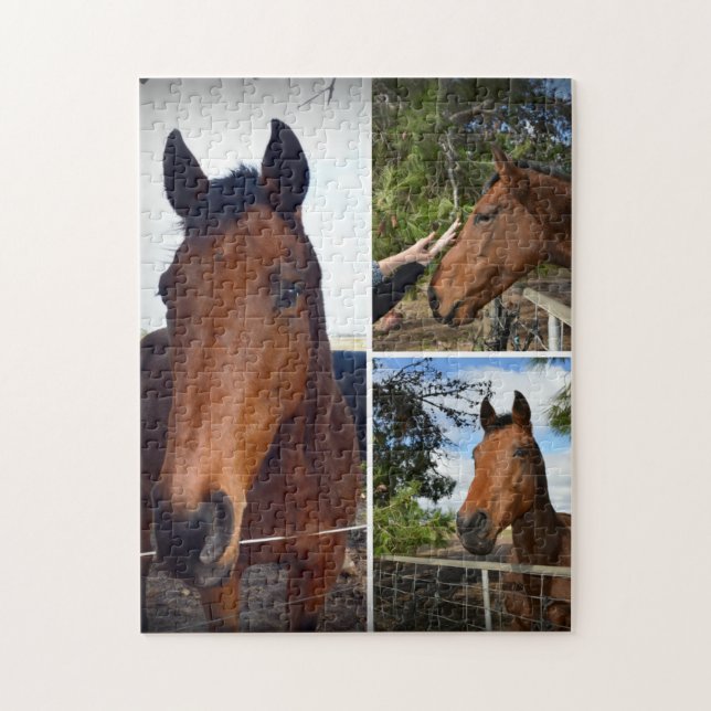 Brown Horses In A Photo Collage, Jigsaw Puzzle (Vertical)