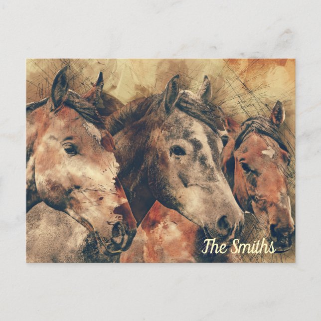 Brown Horses Postcard (Front)
