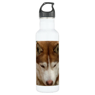Brown Husky 710 Ml Water Bottle