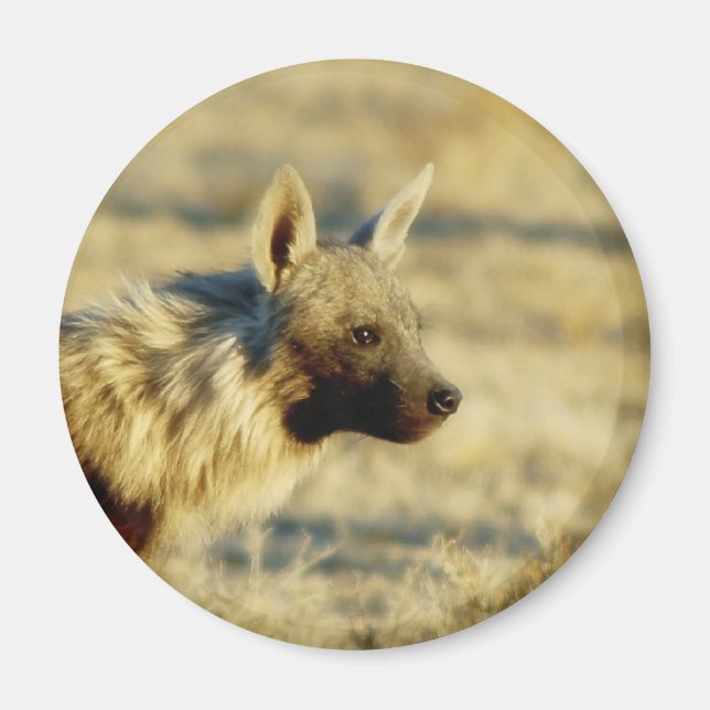 Brown hyena wildlife magnets (Front)