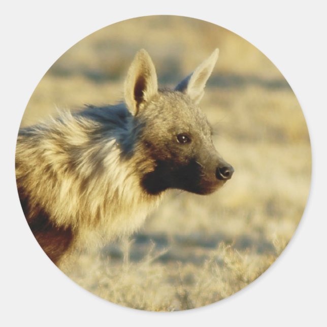 Brown hyena wildlife stickers (Front)