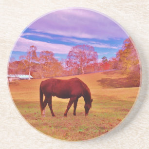 > Brown in a dreamy colored field Coaster