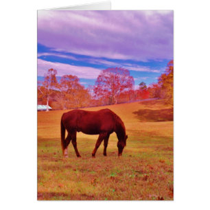 > Brown in a dreamy coloured field