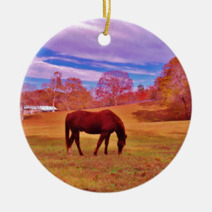 > Brown in a dreamy coloured field Ceramic Tree Decoration