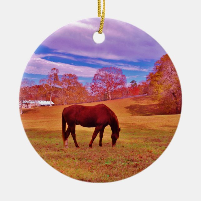 > Brown in a dreamy coloured field Ceramic Tree Decoration (Front)