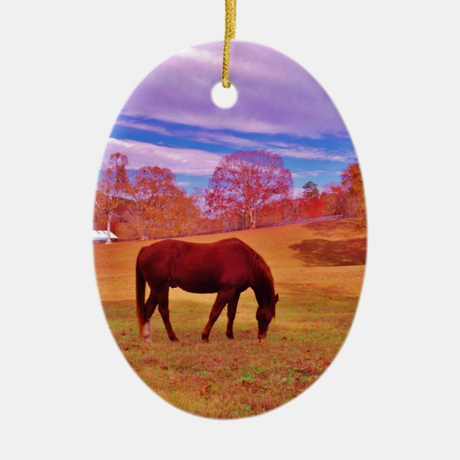 > Brown in a dreamy coloured field Ceramic Tree Decoration (Front)