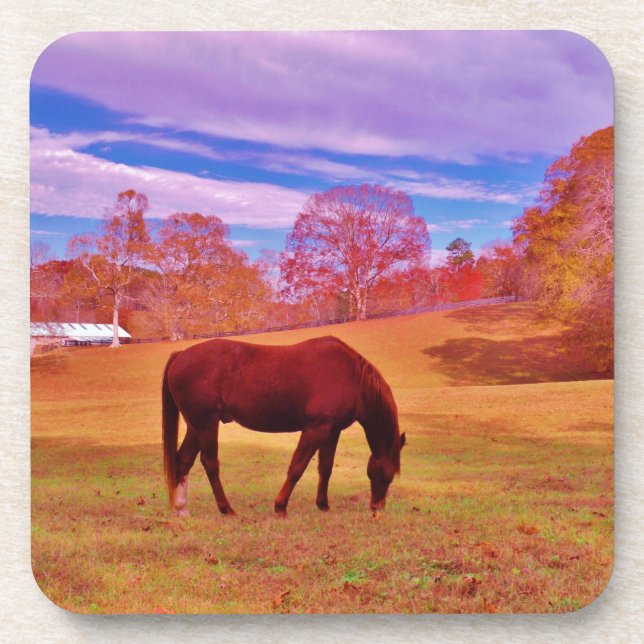 > Brown in a dreamy coloured field Coaster (Front)