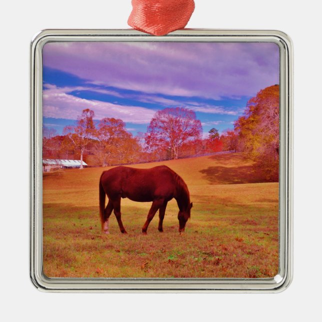 > Brown in a dreamy coloured field Metal Tree Decoration (Front)