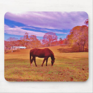 > Brown in a dreamy coloured field Mouse Mat