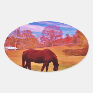 > Brown in a dreamy coloured field Oval Sticker