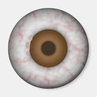Brown Iris Eyeball Magnet