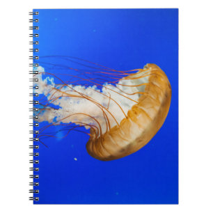 BROWN JELLYFISH NOTEBOOK
